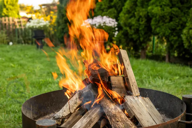 backyard landscaping fire pit ideas