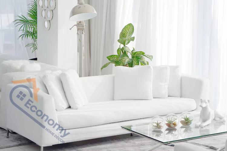 A bright, modern living room featuring a pristine white sofa with several white throw pillows, a glass coffee table with decorative air plants, a large green houseplant, and a tall silver floor lamp, all against a backdrop of white sheer curtains.