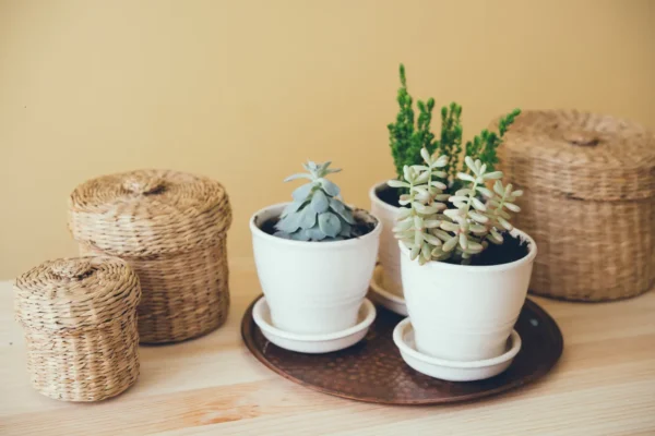Boho chic decor featuring three potted succulents on a copper tray and three woven lidded baskets on a wooden table.