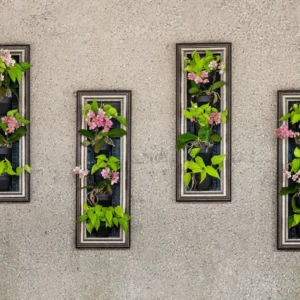 Set of four framed vertical garden planters with green plants and pink flowers hanging on a textured grey wall.