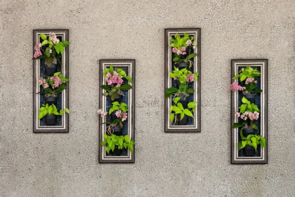 Set of four framed vertical garden planters with green plants and pink flowers hanging on a textured grey wall.