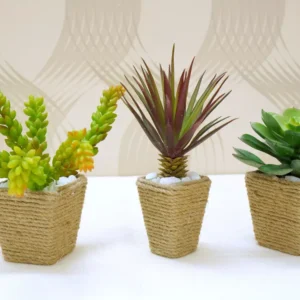 Set of 3 realistic faux succulents in square pots wrapped with natural jute rope and topped with white pebbles.
