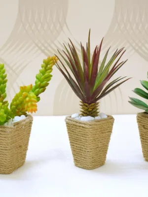 Set of 3 realistic faux succulents in square pots wrapped with natural jute rope and topped with white pebbles.