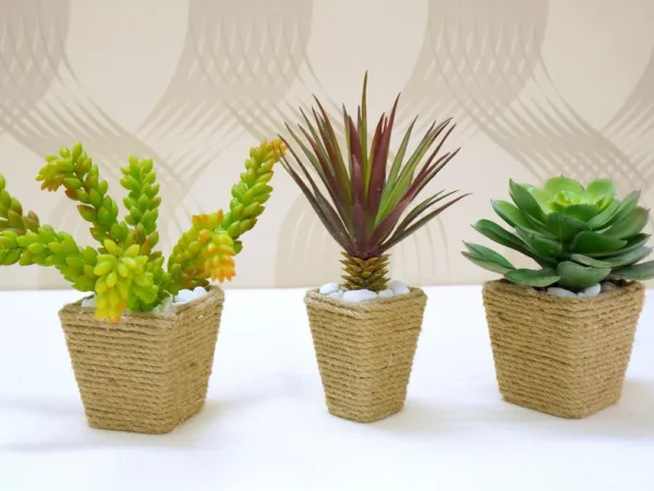Set of 3 realistic faux succulents in square pots wrapped with natural jute rope and topped with white pebbles.