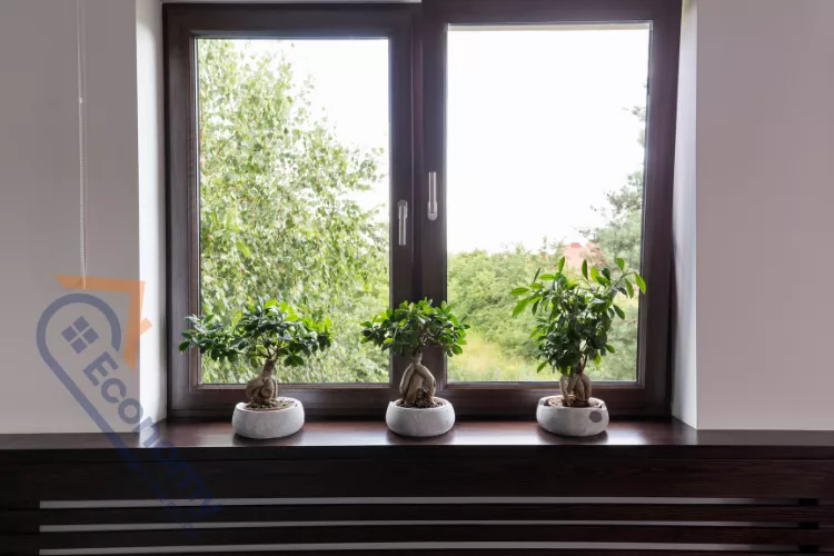 Three small potted bonsai trees arranged symmetrically on a dark brown interior window sill, adding a natural decorative touch to a large modern window overlooking outdoor greenery.