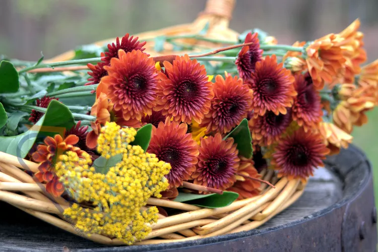 A welcoming Thanksgiving decor idea for an entryway or console table, featuring white ceramic vases and pumpkins.