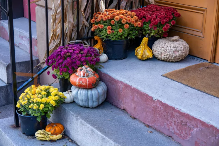 A formal Thanksgiving dinner table decoration idea with elegant place settings, green napkins, and a sophisticated centerpiece.